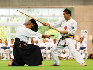Ryukyu kobujutsu Demonstration photo 04